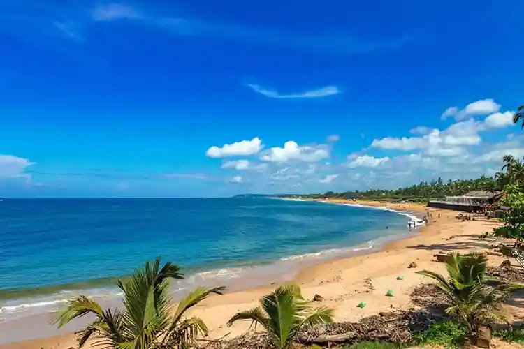 Ernakulam to Goa velsao beach
